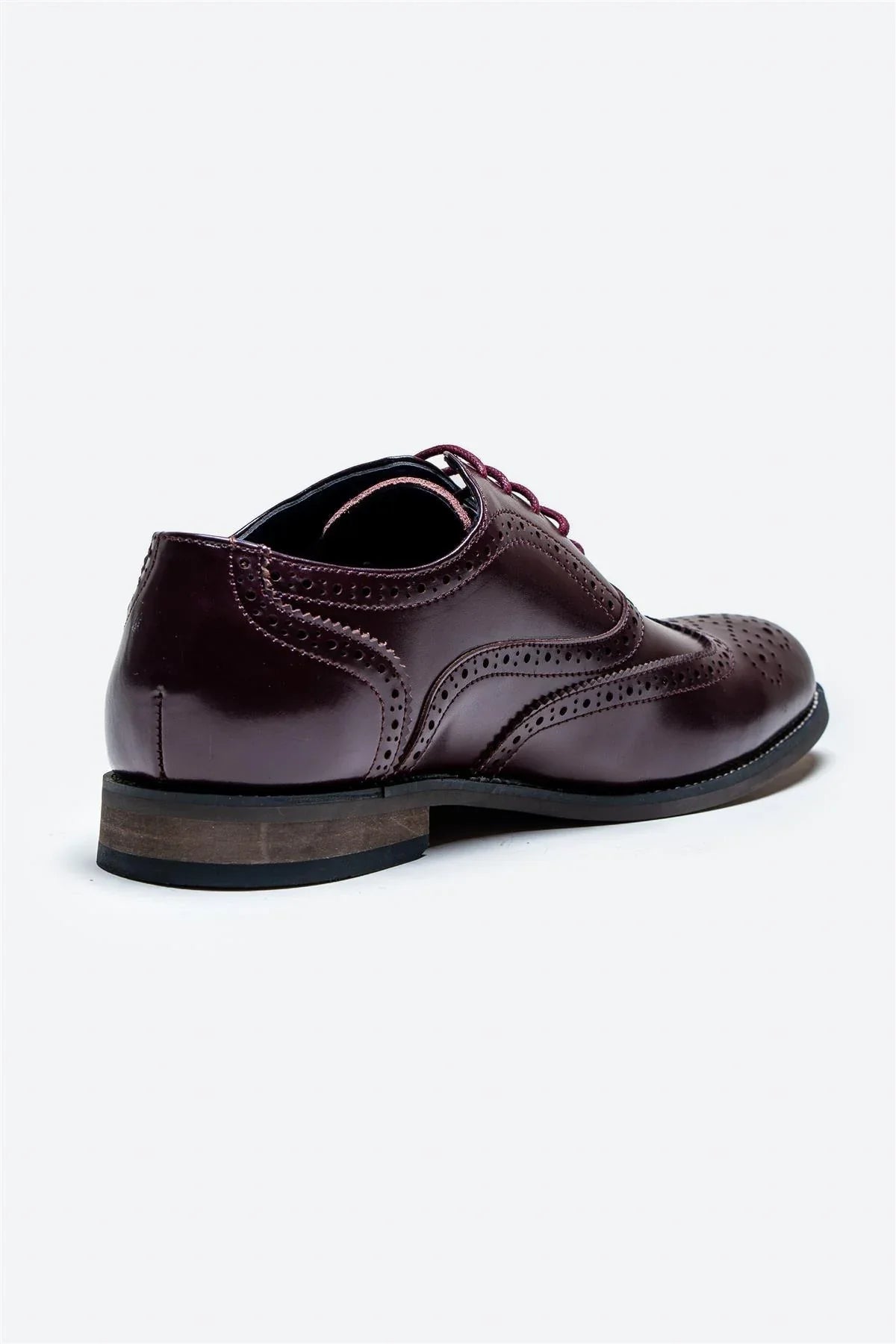 Cavani Clark Scarpe Wine - Wingtip Brogue