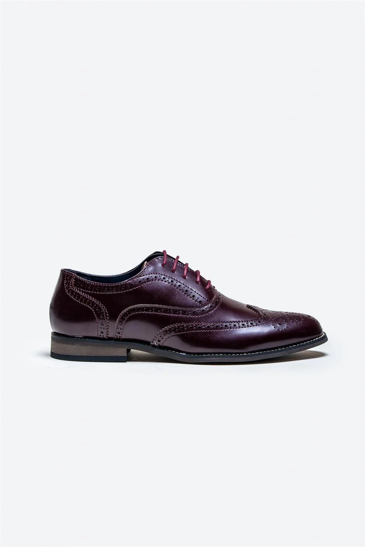Cavani Clark Scarpe Wine - Wingtip Brogue